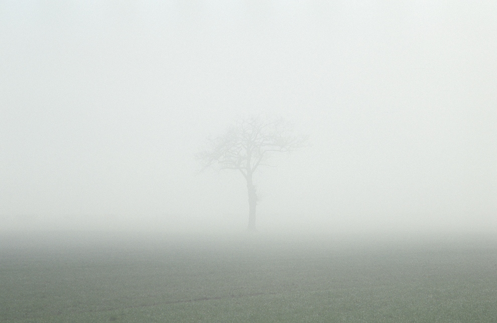 Mgliste dni to w Anglii norma. Często jednak mgła pojawia się tylko o poranku, by później rozmyć się.
